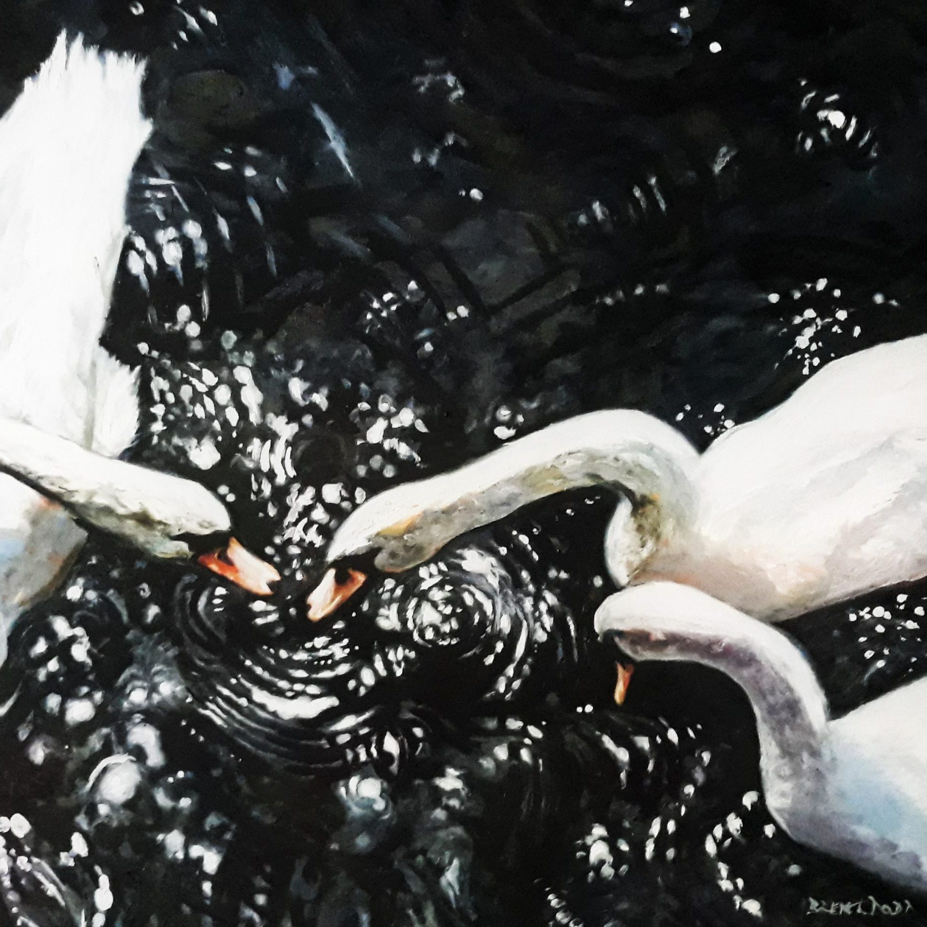 richmond swans