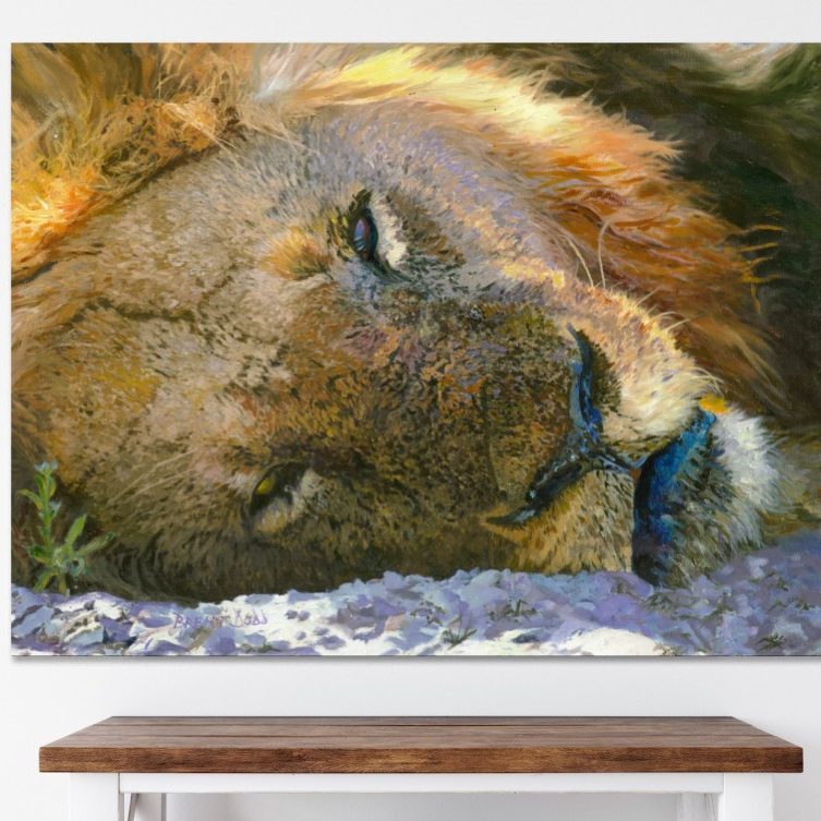 Lion sleeping in the sand